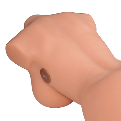 Rose: 21.49LB Futa Sex Doll Torso – Compact & Curvy Shemale Sex Doll for Intense Fantasy Play